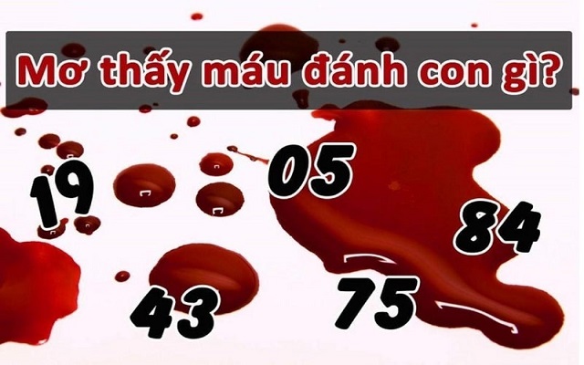 Nằm mơ thấy máu nên đánh con gì Nằm mơ thấy máu nên đánh con gì