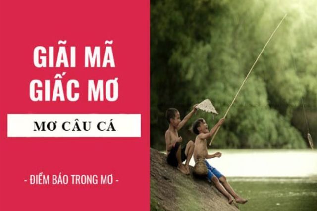 Ý nghĩa về việc nằm mơ thấy câu cá và con số trong lô đề