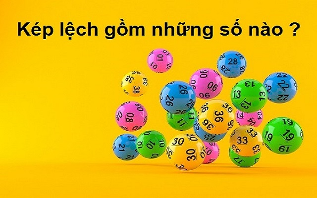Bộ kép lệch gồm bao nhiêu con Bộ kép lệch gồm bao nhiêu con