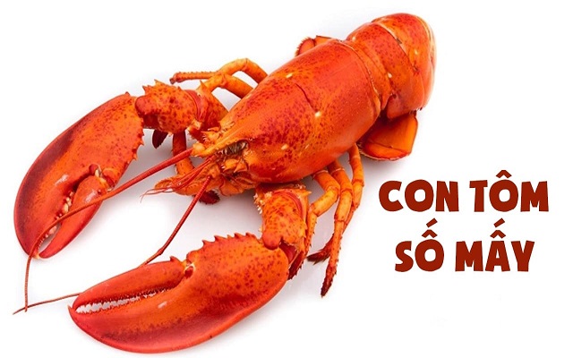 Con tôm số mấy Con tôm số mấy