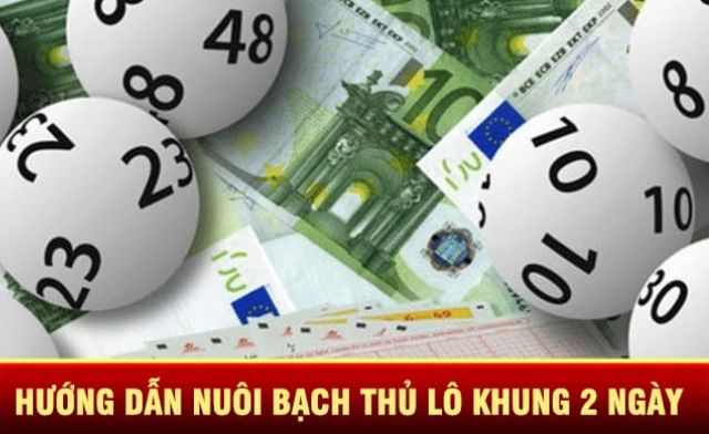 Bật mí bí quyết nuôi bạch thủ lô khung 2 ngày miễn phí hiệu quả
