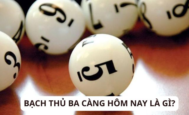 Khám phá ngay bạch thủ ba càng hôm nay là gì?