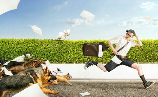 Thông điệp ẩn sâu giấc nằm mơ thấy chó cắn là gì?