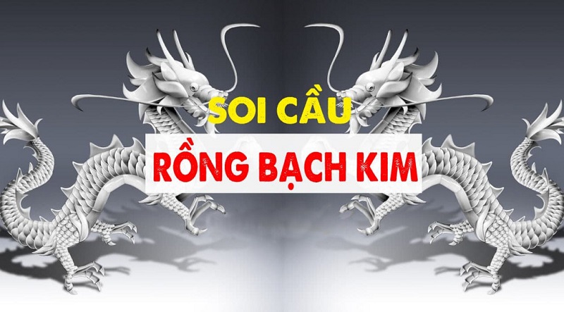 Tổng hợp các phương pháp soi cầu Rồng Bạch Kim hiệu quả Tổng hợp các phương pháp soi cầu Rồng Bạch Kim hiệu quả