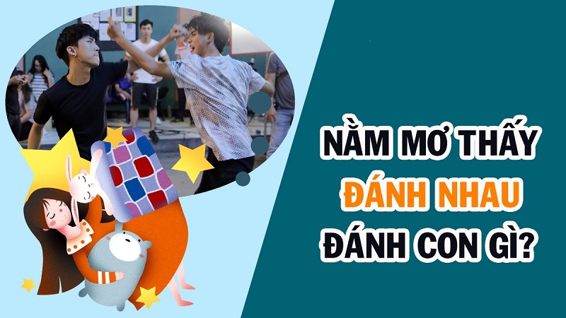 Đánh con gì khi mơ thấy đánh nhau chảy máu?