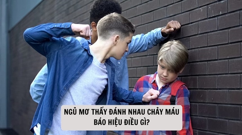 Giải mã giấc mơ thấy đánh nhau chảy máu theo từng bối cảnh