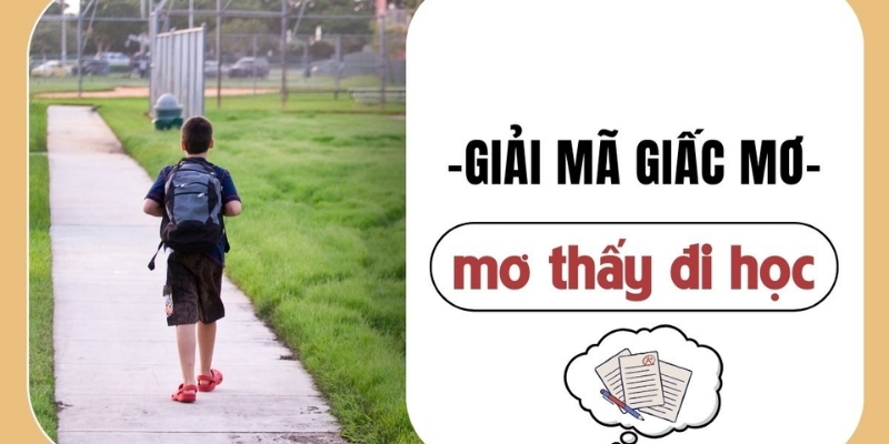 Điềm báo dành cho bạn về giấc mơ thấy đi học Điềm báo dành cho bạn về giấc mơ thấy đi học